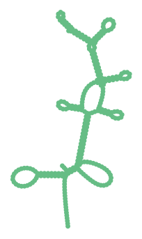 Consensus structure of IRESG049