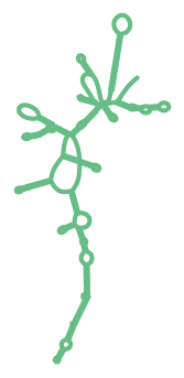 Consensus structure of IRESG053
