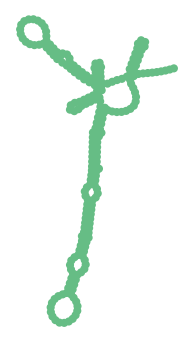 Consensus structure of IRESG054