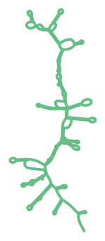 Consensus structure of IRESG056