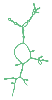 Consensus structure of IRESG057