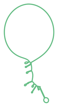 Consensus structure of IRESG058