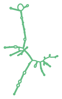 Consensus structure of IRESG060