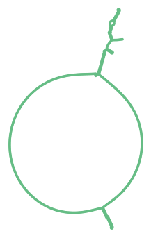 Consensus structure of IRESG063