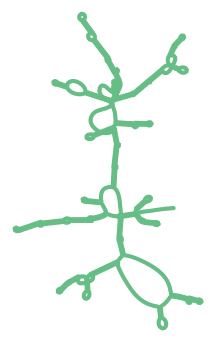 Consensus structure of IRESG064