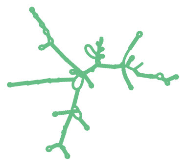 Consensus structure of IRESG067