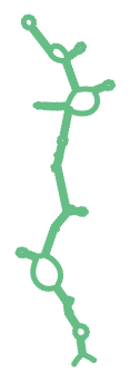 Consensus structure of IRESG068