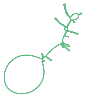 Consensus structure of IRESG069