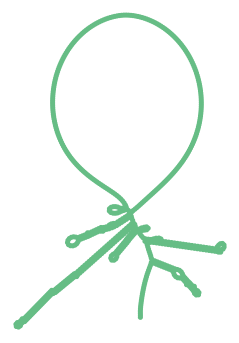 Consensus structure of IRESG071