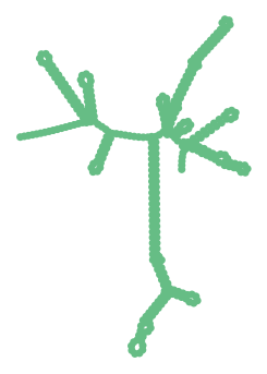 Consensus structure of IRESG072