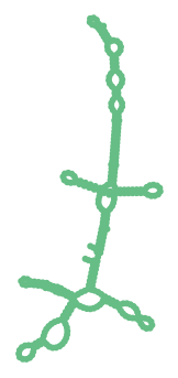 Consensus structure of IRESG074