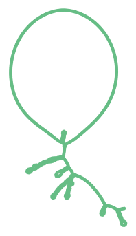 Consensus structure of IRESG075