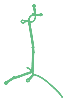 Consensus structure of IRESG076