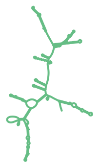 Consensus structure of IRESG077