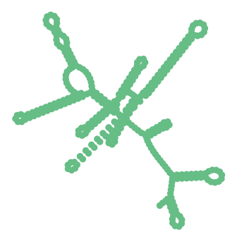 Consensus structure of IRESG078