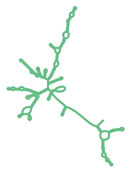 Consensus structure of IRESG079
