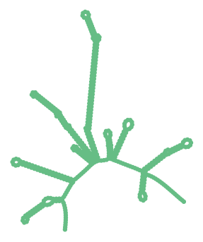 Consensus structure of IRESG080