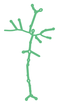 Consensus structure of IRESG082