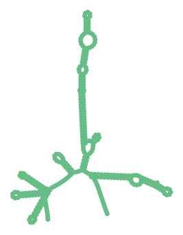 Consensus structure of IRESG087