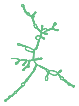 Consensus structure of IRESG088