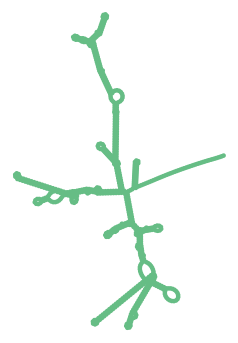 Consensus structure of IRESG089