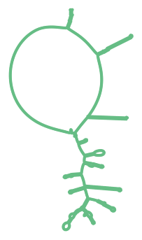 Consensus structure of IRESG090