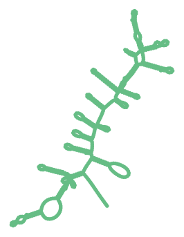 Consensus structure of IRESG092