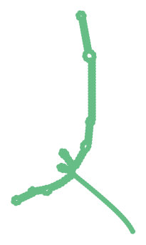 Consensus structure of IRESG093