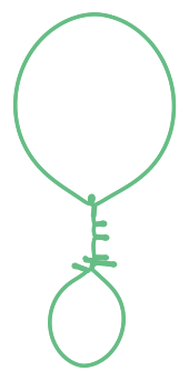 Consensus structure of IRESG095