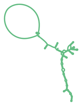 Consensus structure of IRESG096