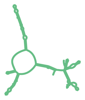 Consensus structure of IRESG099