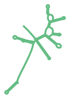 Consensus structure of IRESG100