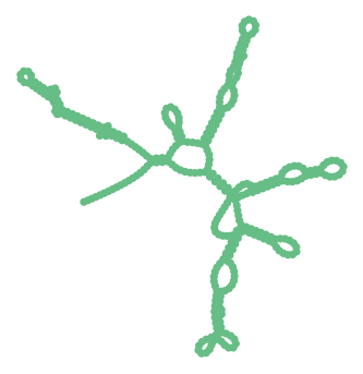 Consensus structure of IRESG102