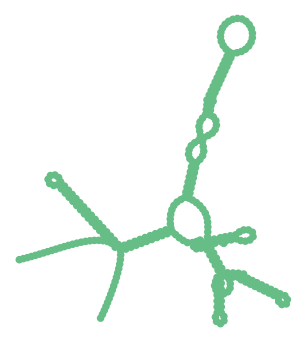 Consensus structure of IRESG103