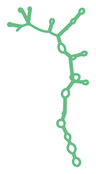 Consensus structure of IRESG104
