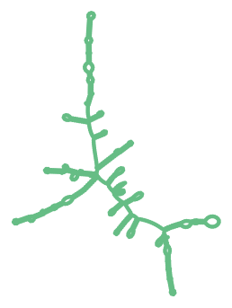 Consensus structure of IRESG107