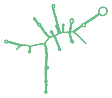 Consensus structure of IRESG108