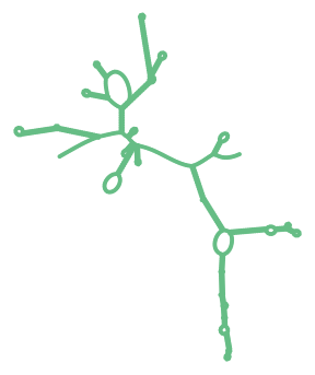 Consensus structure of IRESG109
