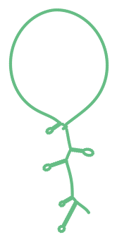 Consensus structure of IRESG111
