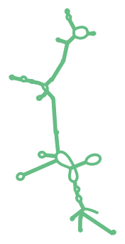 Consensus structure of IRESG112