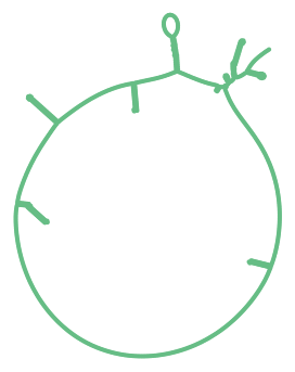 Consensus structure of IRESG113