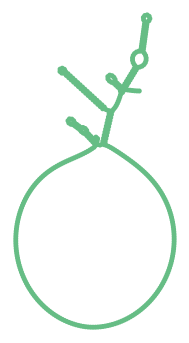 Consensus structure of IRESG114