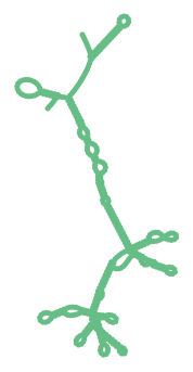 Consensus structure of IRESG115