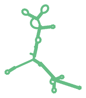 Consensus structure of IRESG116