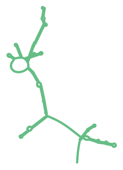 Consensus structure of IRESG117