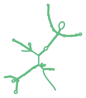 Consensus structure of IRESG118
