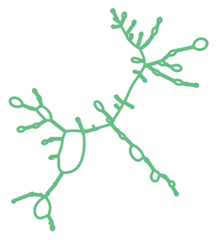 Consensus structure of IRESG119