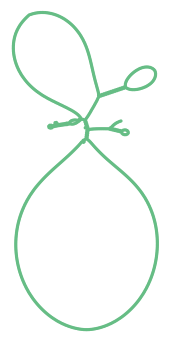 Consensus structure of IRESG120