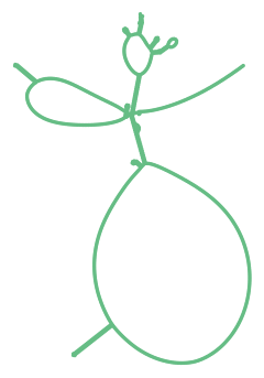 Consensus structure of IRESG121