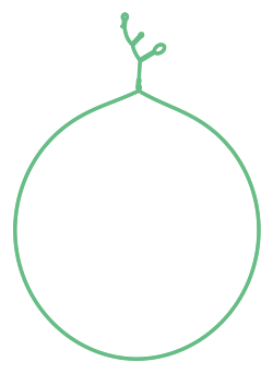 Consensus structure of IRESG122